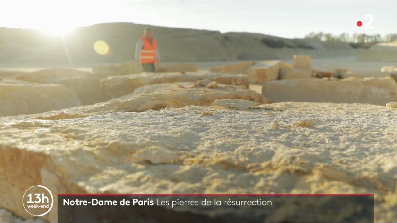 Notre-Dame de Paris : les pierres de la résurrection
