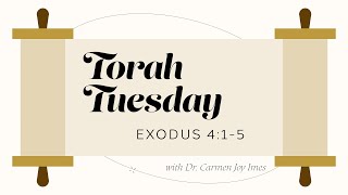 Torah Tuesday - Exodus 4:1-5