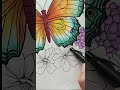 coloring butterfly #butterfly #drawing #coloriage #coloringbook