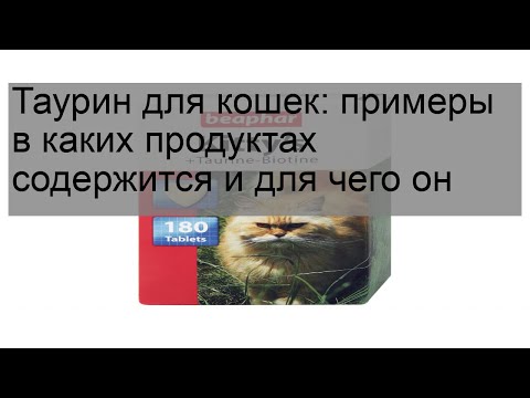 Таурин для кошек: примеры в каких продуктах содержится и для чего он