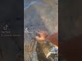 片手で充分なンだわ