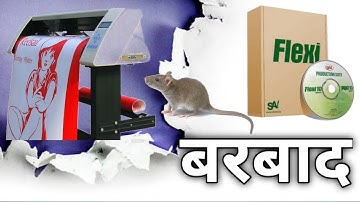 🐀 Cutting Plotter Problem (Part-I) Solved 👍