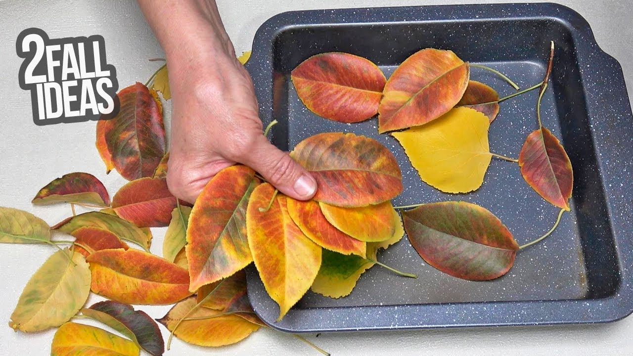 Я собрала опавшие листья в парке и создала нечто фантастическое!  Он покорит ваше сердце!