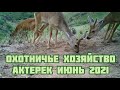 Охотничье хозяйство Актерек! 🦌🦌🦌 Косуля основной Охотничий вид !!!