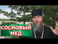 Сосновый Мед Рецепты от Священника РПЦ Дары Природы