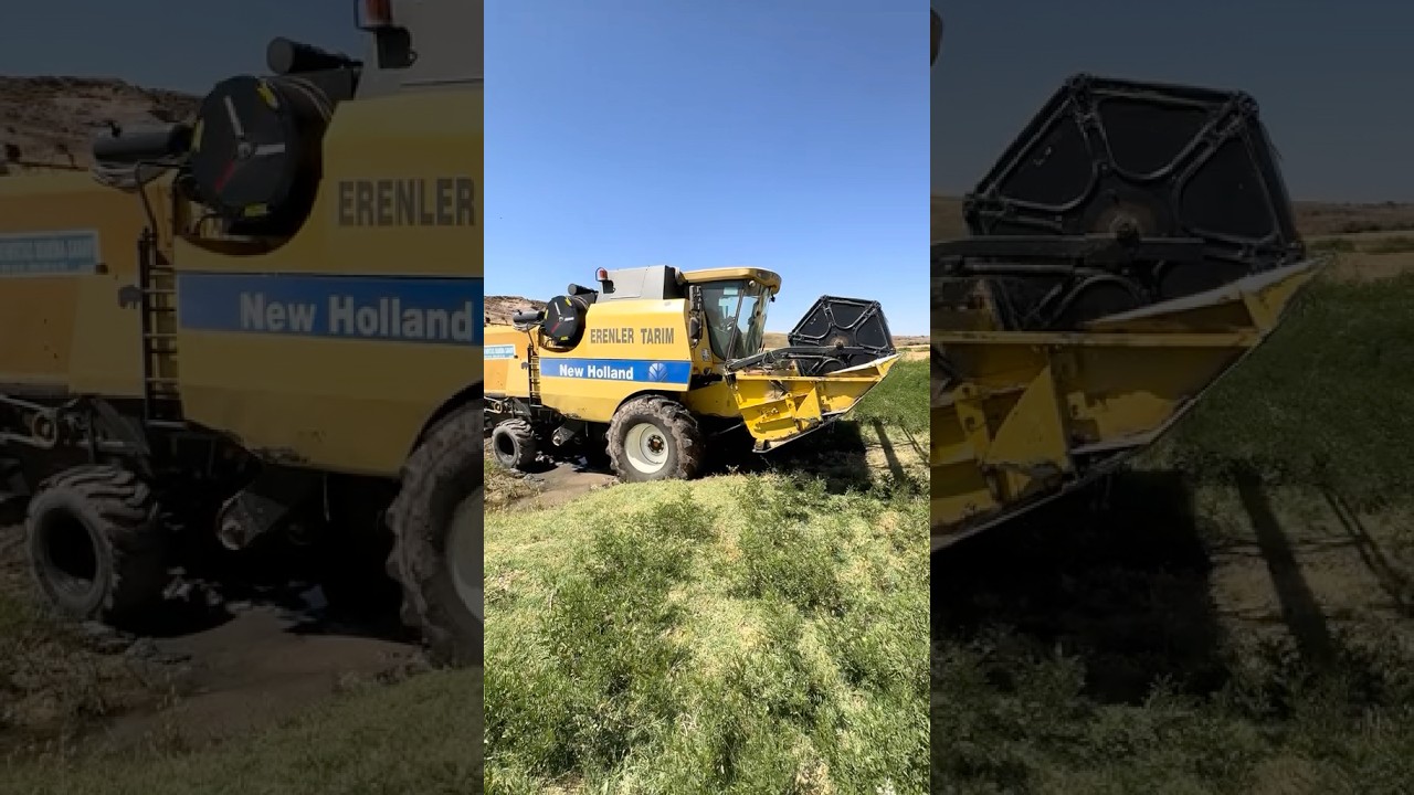 THE COMBINE HARVESTER IS STUCK IN THE MUDDY TERRAIN.