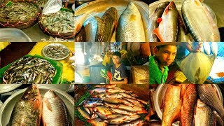 দেশী মাছের বাজার জমেছে ০২ | Amazing Fish Market in Dhaka, Bangladesh | Kochukhet Fish Market