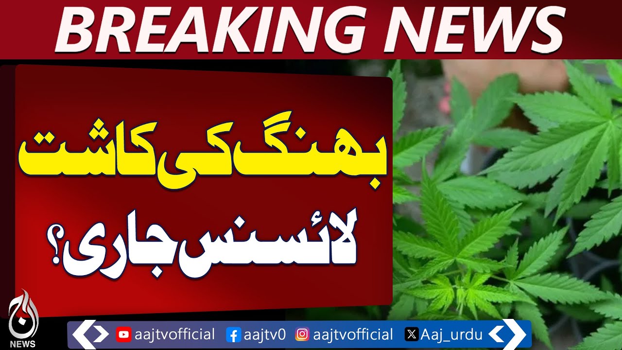 KP Govt Considers Legal Crop Licensing | Excise Duty, Fees Proposed in Peshawar - Aaj Pakistan News