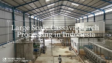 Large Scale Cassava Satrch Processing Plant in Indonesia Cassava Starch Processing Machine of DOING