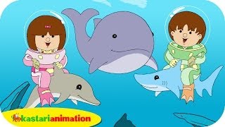Kutahu Dunia Air (lumba lumba, hiu, paus) - Kastari Animation 