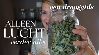 KRUIDEN DROGEN is super makkelijk! zonder oven of voedseldroger - voor in je thee of met koken