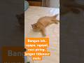 pagi2 dilarang malas-malasan. bangun.....