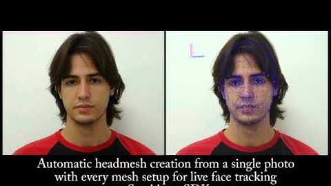 Automatic 3d Headmesh Generation