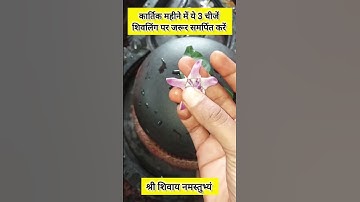 कार्तिक महीने में 3 चीजें शिवलिंग पर जरूर समर्पित करें मनोकामना पूर्ति के लिए #pradeepmishra #upay