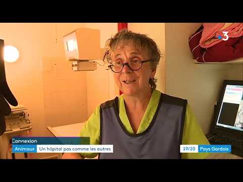 JT local 1920 Pays Gardois   France 3 Occitanie