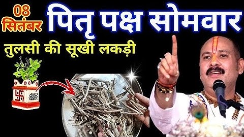 8 सितंबर पितृ पक्ष सोमवार के दिन तुलसी की सूखी लकड़ी वाला उपाय जरुर करे || Pradeep Ji Mishra