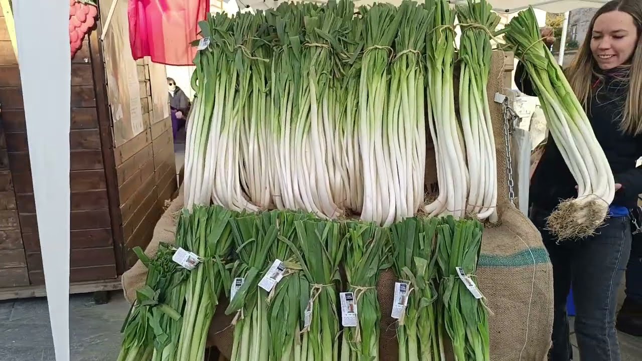 Fiera San Martino a Bruino