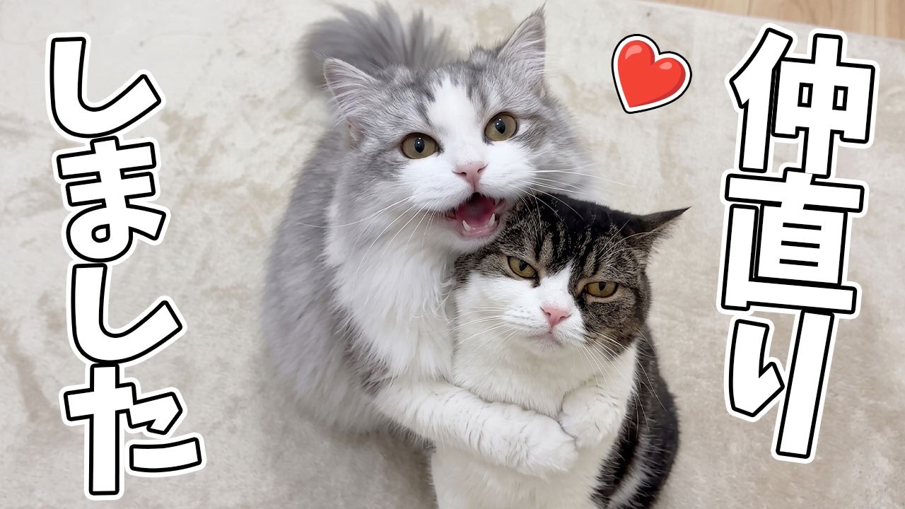 WHITEY✧フクロウさんのオルゴナイト♥うさねこさま♥専用です YouTube