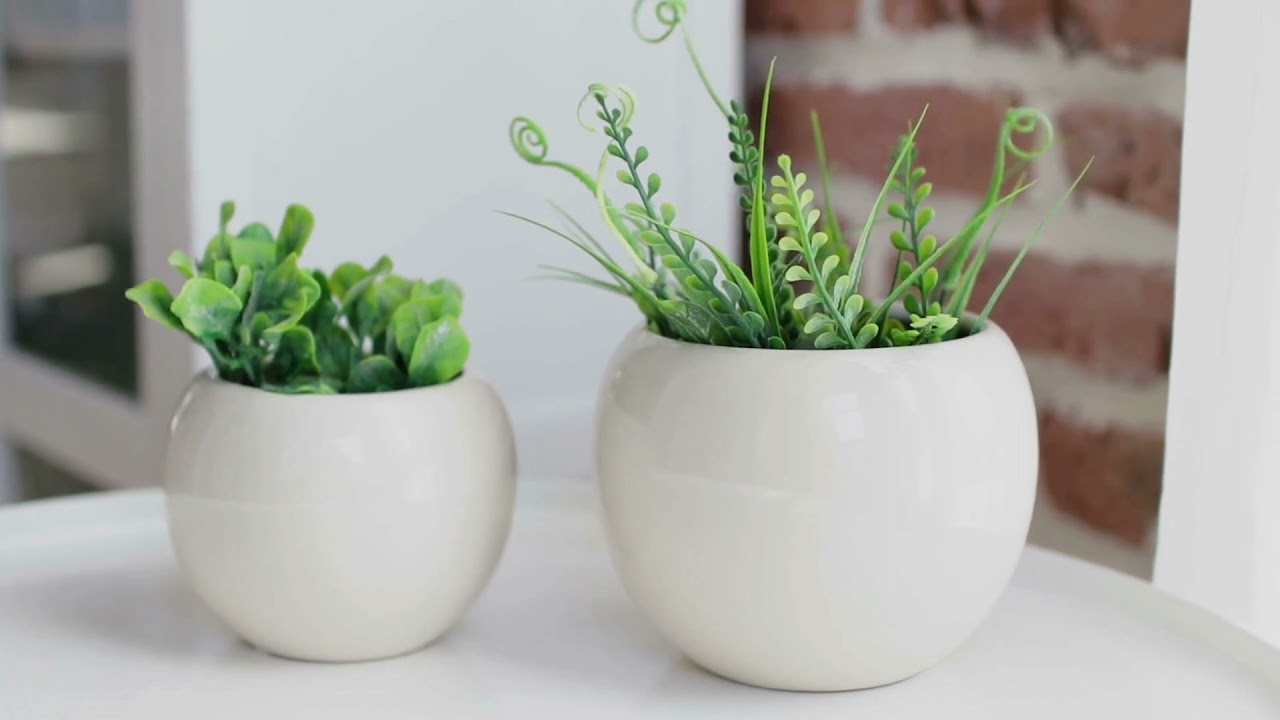 How to Care for Houseplants During the Winter?