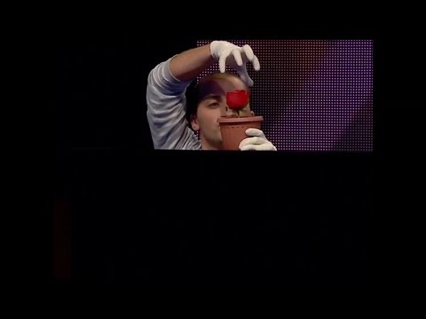 ნიჭიერი - ბექა სულაძე - მაგია | Nicheri - Beka Suladze - Magia