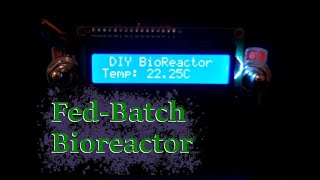 Fed Batch DIY Bioreactor Experiment
