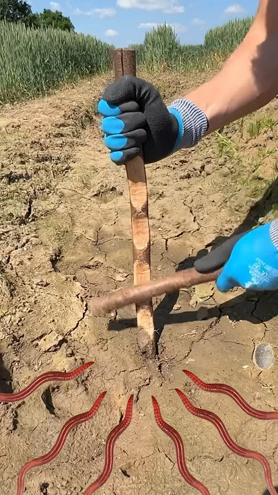 How To Summon A Worm With A Stick