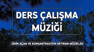 Gece Ders Çalışma Müziği 🌙 Cırcır Böcekleri & Piyano ile Derin Odak screenshot 1