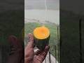 ঝুম বৃষ্টি x গাছ পাকা আম... #reels #viral #shorts #mango #rain