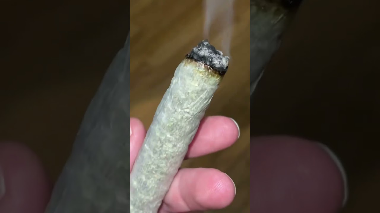 Can you guess how many g’s in this fat cannagar? 👀🔥