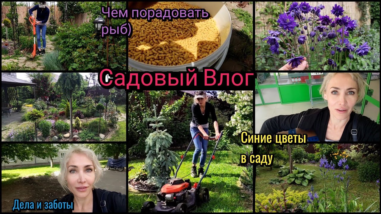 Джанаки жизнь за городом ютуб