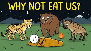 Why Don't Wild Animals Eat Sleeping Humans?