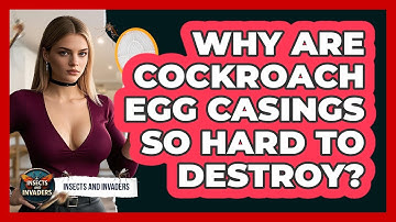 Why Are Cockroach Egg Casings So Hard To Destroy? - Insects and Invaders