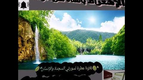 *🌳تلاوة عطرة لسورتي السجدة والإنسان*🌳  ✍ *للشيخ الفاضل أبي المنذر منير السعدي حفظه الله*