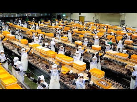 Видео: Лучшие виды 2023 года! ТОП-10 производственных процессов в Корее, замеченных миром