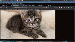 Hackerone Micro Cms V1 44 Sloved