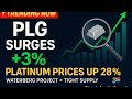 PLG Unveiling The Future Of Platinum Mining Is It A Goldmine Or A Gamble 
