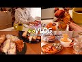 【モグVlog】全力#韓国っぽで生きる1日/韓国料理、お菓子、コスメ、雑貨をふんだんに紹介