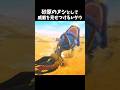 頂点捕食者としての威厳をみせるレダウ