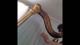 Geysir Nationale by Gregory and the Hawk, Harp Cover