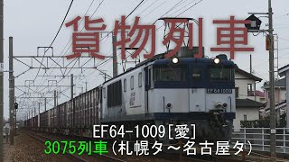 2019/12/22 JR貨物 新田踏切から3075列車 EF64-1009[愛]牽引 コンテナ詳細120fsp