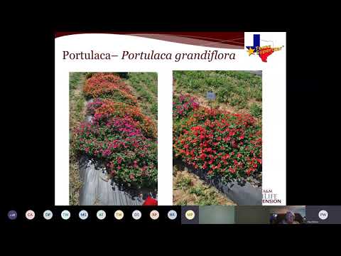 Gulf Coast Plant 15