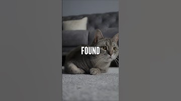 You’re not lazy. You’re just doing the wrong things. #motivation #inspiration #quotes #strength