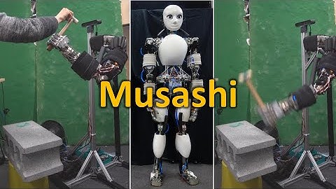 Component Modularized Design of Musculoskeketal Humanoid Platform Musashi (IROS 2019)