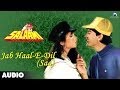 Salaami: Jab Haal-E-Dil - Sad Full Audio Song | Ayub Khan | Roshni Jaffrey