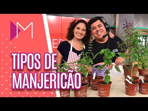 Vídeo: Manjericão Doce
