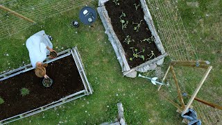 Being A Solo Homesteader: Beginner Kitchen Garden and Cottage DIY (Story 56)