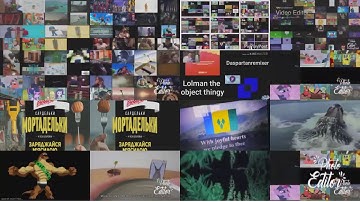 The Annoying Goose parison