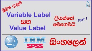 SPSS Variable Label and Value Label | Variable Label & Value Label ලියන්නේ මෙහෙමයි | SPSS සිංහලෙන්
