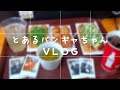 【vlog】名古屋・大阪遠征ライブ/旅行 #6