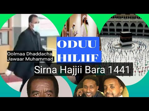 Oolmaa Dhaddacha Jawaar Muhammad Sirna Hajjii Bara Kana Fi Oduu Biyya Alaaf Keessa Hilif Ado 29 2020 